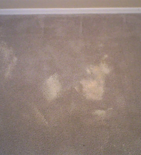 Bleach Spot Repair Services in Beaverton OR