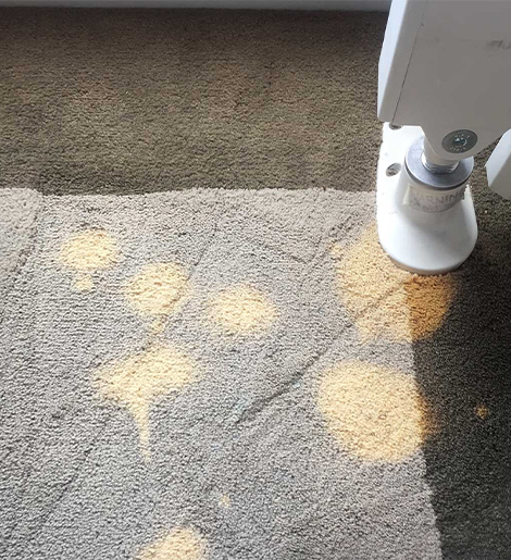 Precision in Every Step: Our Bleach Spot Repair Process