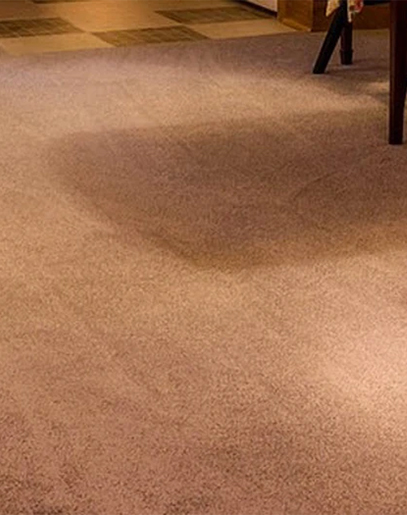 Our Proven Color Restoration Process